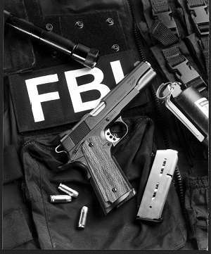 Googling onto the FBI Watch List - David Mark Brown - David Mark Brown
